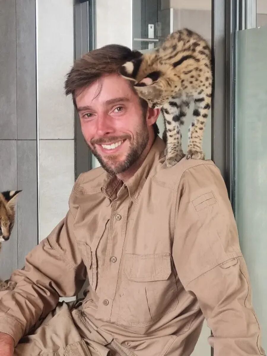 A serval perched on Josh's shoulder